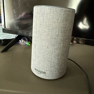 Amazon Alexa Light Gray